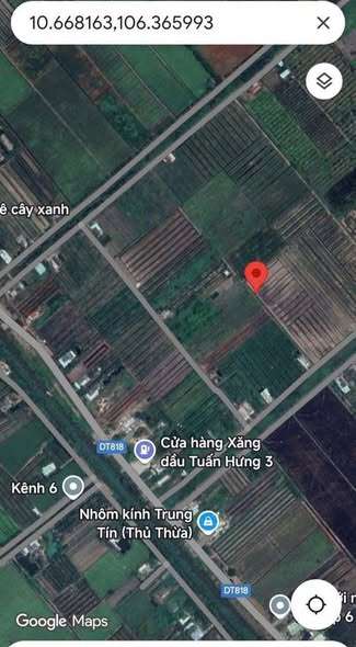 Đất vườn 1000m² xã Tân Thành, Thủ Thừa giá 610 triệu - Đầu tư sinh lời!