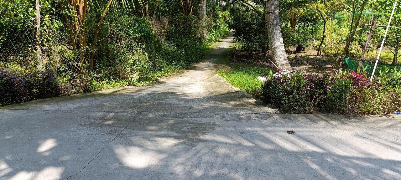 Đất thổ cư Sơn Phú Giồng Trôm 3817m² giá 2.8 tỷ - Đầu tư sinh lời hấp dẫn!