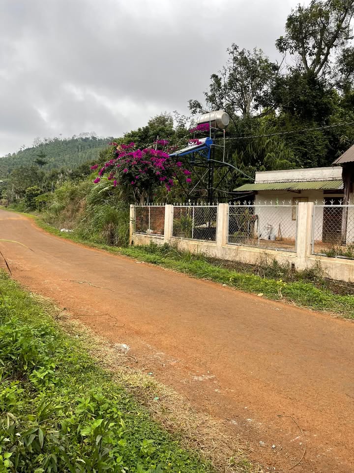 Đất nền 15.000m² xã Thuận Hạnh Đắk Nông - Sổ đỏ chính chủ, giá thỏa thuận!