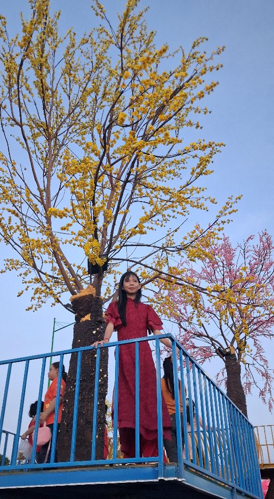 Nhà cấp 4 Phú Long 711m² giá 2.95 tỷ - Chính chủ bán gấp!