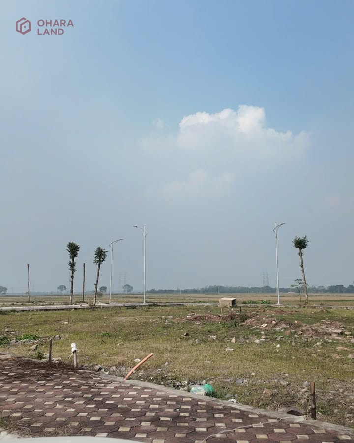 Đất đấu giá Văn Quán Đỗ Động 93,58m² giá 8.105 tỷ - Mặt tiền 5m, cơ hội đầu tư sinh lời!