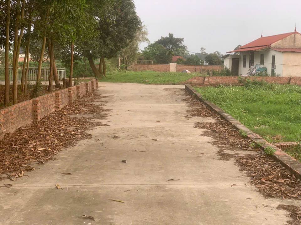 Đất thổ cư 60m² Mai Đình, Sóc Sơn, Hà Nội - Giá chỉ 2 tỷ, vị trí đắc địa!