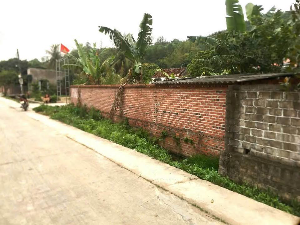 Lô đất đẹp Thôn An Biên, Xã Thủy An, Đông Triều giá chỉ 600 triệu - Đầu tư sinh lời!