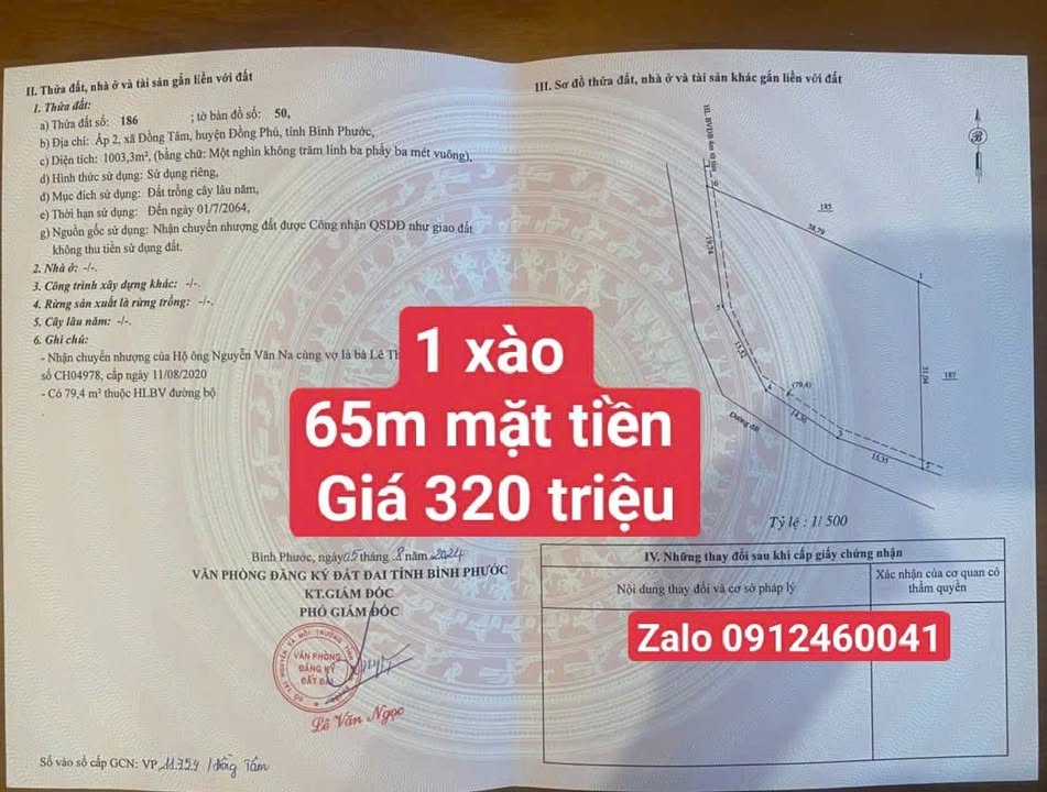Đất liền kề Đồng Tâm, Đồng Phú 10.800m² - Cơ hội đầu tư hấp dẫn!