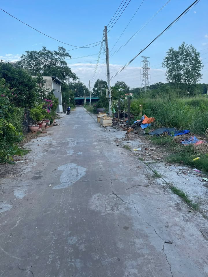 Đất thổ cư 184.64m² Trừ Văn Thố - Giá chỉ 800 triệu, cơ hội đầu tư tốt!