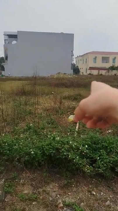 Đất nền phường Hải Hòa, Nghi Sơn 110m² giá 2 tỷ - Tiềm năng sinh lời cao!