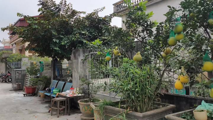 Nhà góc tại Bình Cách, Bình Xuyên 85.5m² giá 1.7 tỷ - Thiết kế hiện đại, sẵn sàng ở!