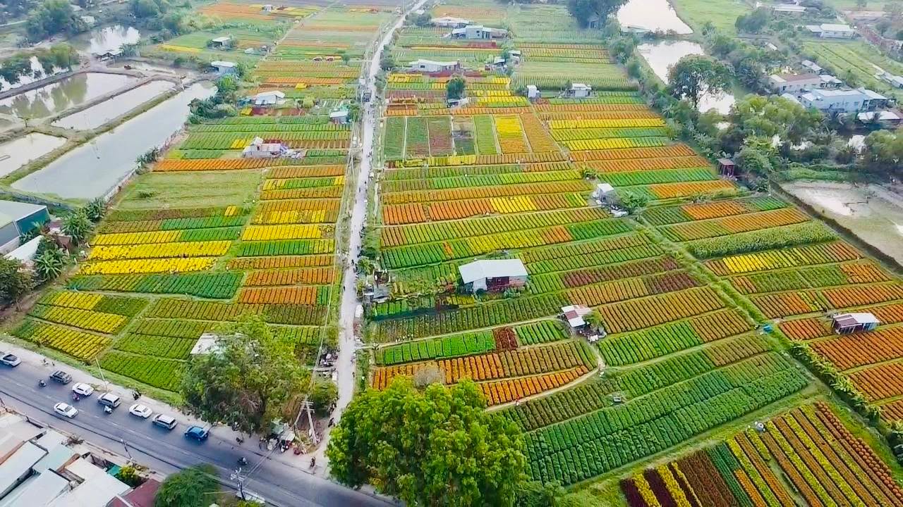 Đất nền Thái Hòa, Tân Uyên 1139m² - View hồ tuyệt đẹp, đầu tư sinh lời!