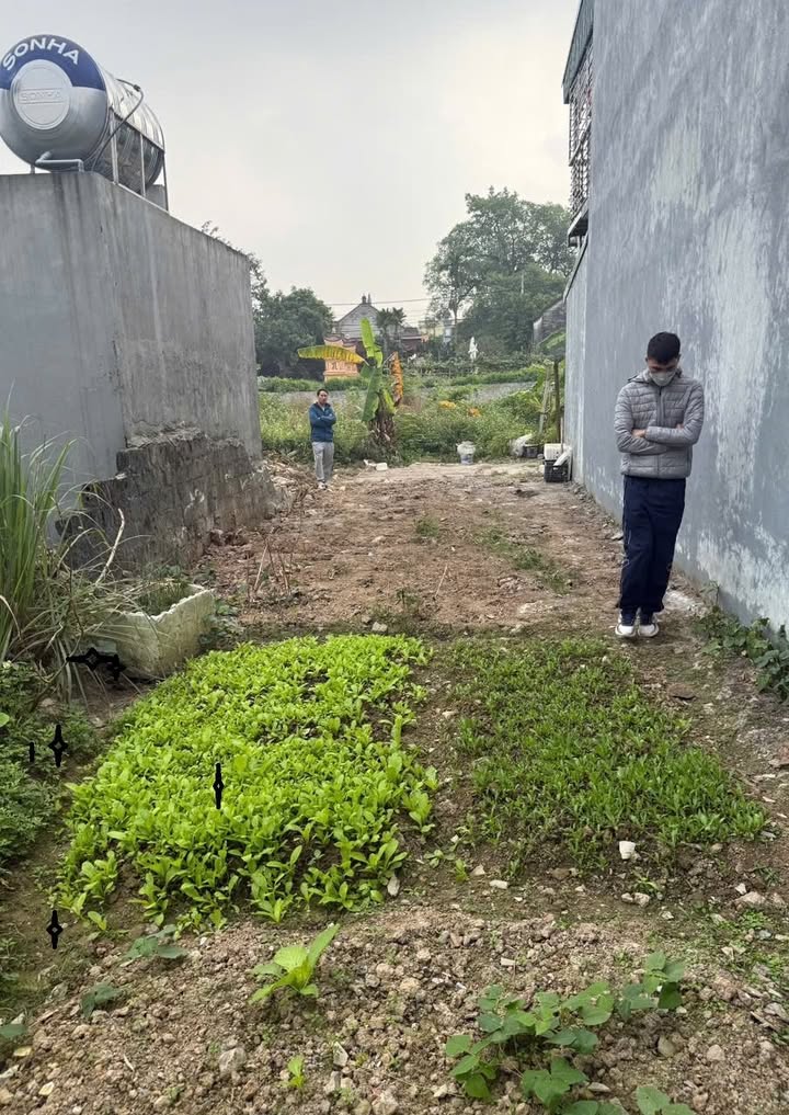 Đất nền chính chủ tại TDP Thần Nữ, Hà Nam - Diện tích 71m² chỉ 1.5 tỷ