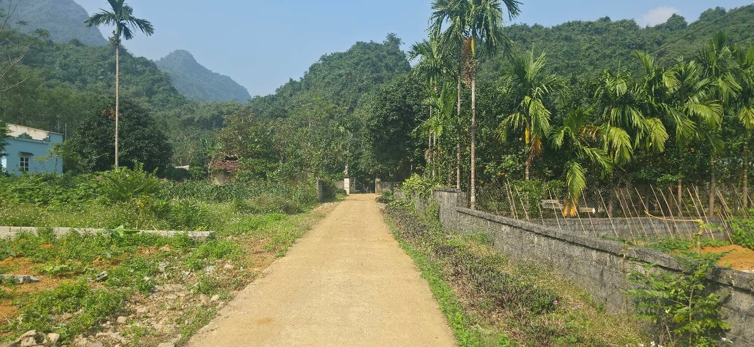 Đất nền Yên Trị, Yên Thủy 100m² giá 300 triệu - Đường thông thoáng, dân cư đông đúc!