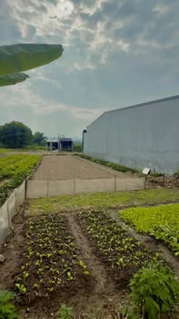 Đất thổ cư khu phố 19 Hoàng Xá 188m² giá 1.1 tỷ - Pháp lý rõ ràng, đầu tư tiềm năng!