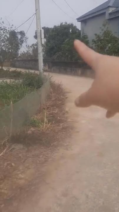 Đất ở xã Phú Long, huyện Nho Quan, Ninh Bình 135m² - Giá thỏa thuận hấp dẫn!