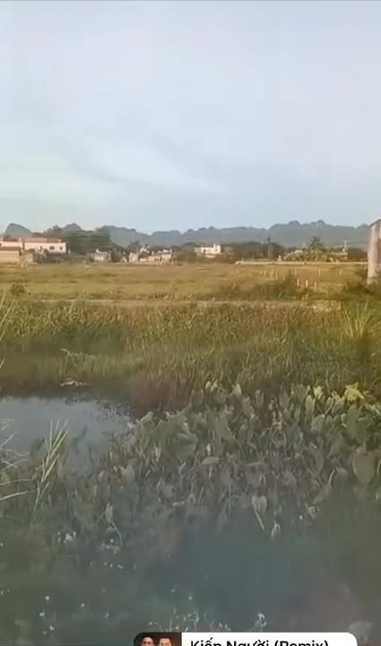 Đất nền Văn Phương Nho Quan 100m² giá chỉ 1.6 tỷ - Thế đất đẹp gần cụm công nghiệp!