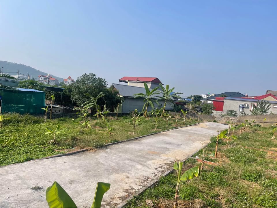 Đất nền 71m² xã Việt Khê, Thủy Nguyên, Hải Phòng - Sổ đỏ chính chủ, ô tô đỗ tận cửa!