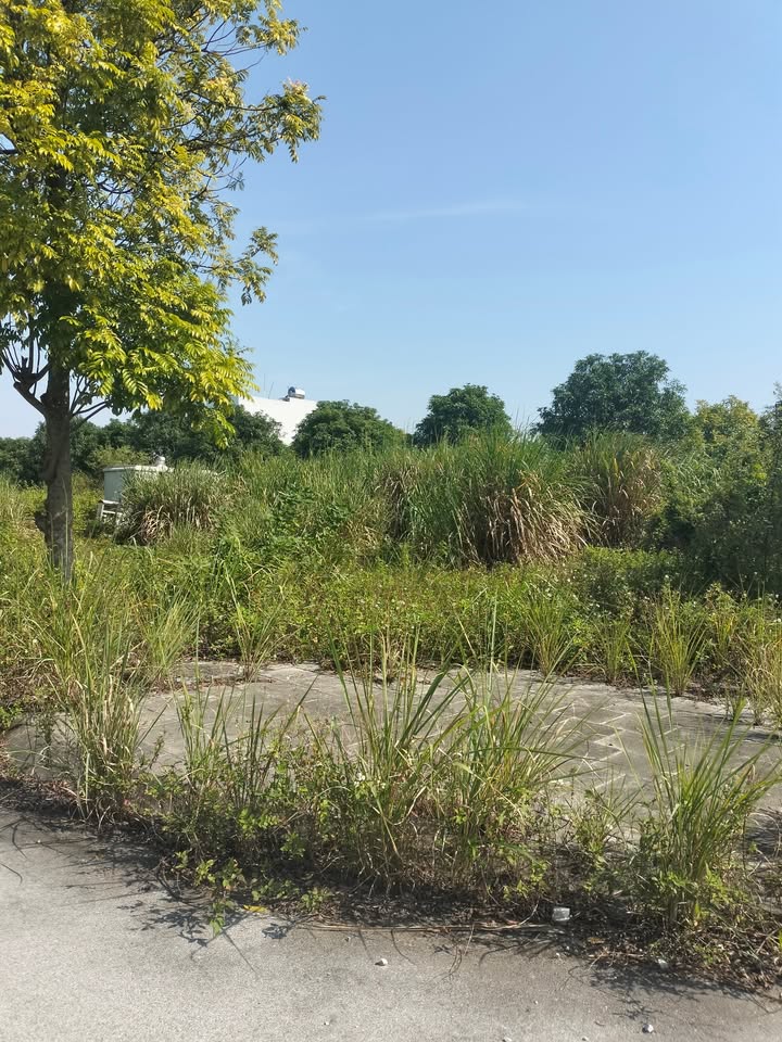 Đất nền Liêm Chính, TP Phủ Lý 155m² - Vị trí đắc địa cách BV Việt Đức 100m!