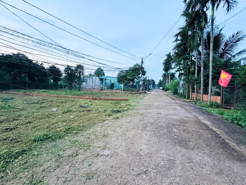 Bán lốc đất 4 lô đường Nguyễn Xuân Nguyên, Tân An - Giá từ 1.550 triệu