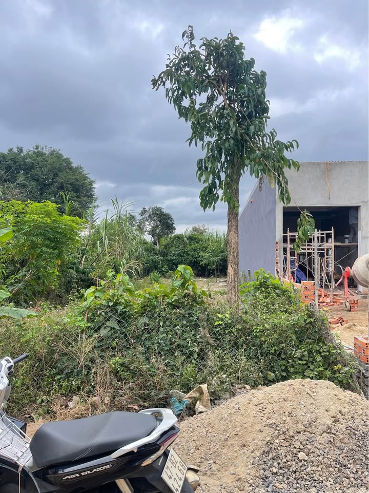 Đất thổ cư đường nhựa Buôn H'Dok 150m² giá 1.45 tỷ - Đầu tư sinh lời lý tưởng!