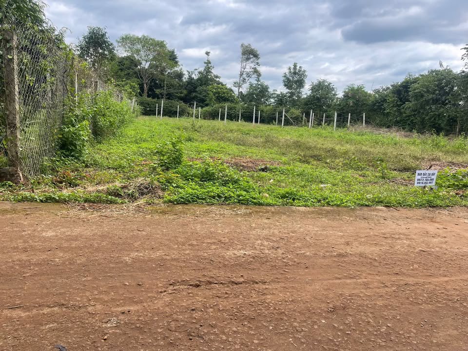 Đất nền Nguyễn Xuân Nguyên, Tân An 120m² giá 1.75 tỷ - Cơ hội đầu tư tuyệt vời!