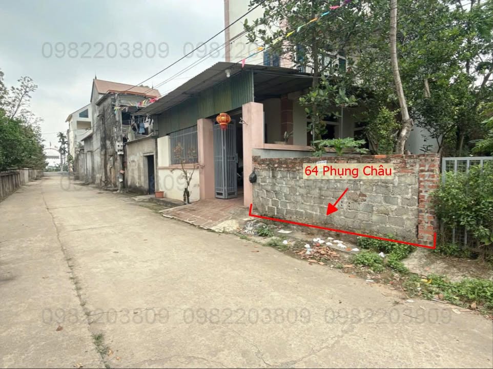 Đất thổ cư Phụng Châu 64m² giá 3 tỷ - Sổ đỏ chính chủ, đầu tư sinh lời!
