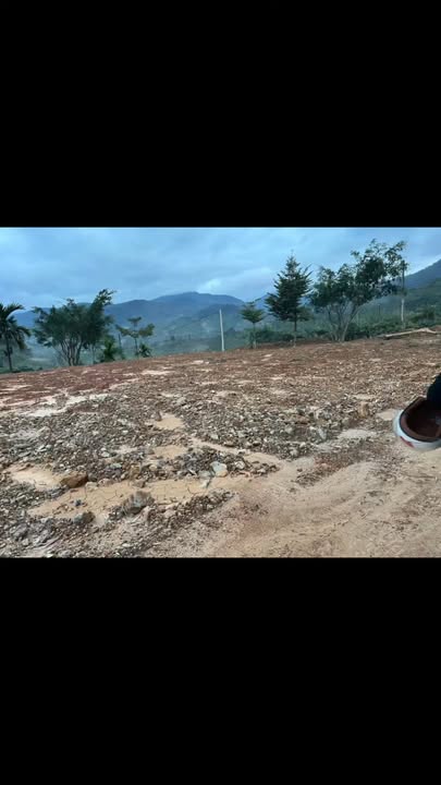 Đất nền Đam Rông 25000m² giá 5.3 tỷ - Sổ đỏ chính chủ, mặt đường nhựa