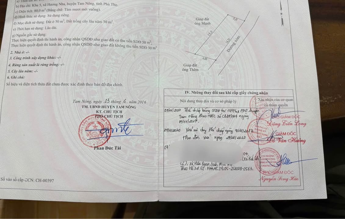 Đất nền 80m² Hương Nha, Tam Nông chỉ 300 triệu - Cơ hội đầu tư hấp dẫn!