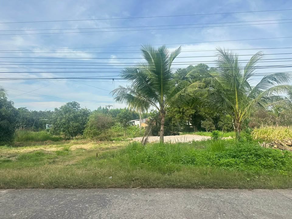 Đất nền Phú Hoà, Định Quán 140m² giá 750 triệu - Khu dân cư sầm uất, thuận tiện kinh doanh!