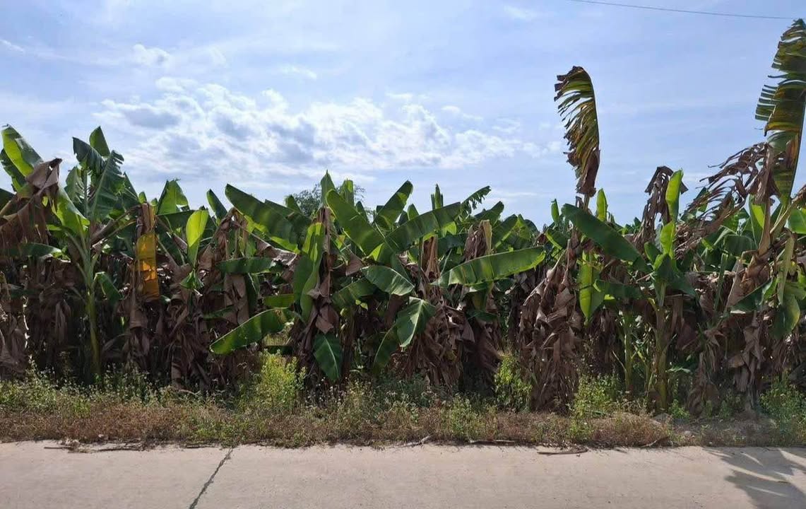 Đất nền 2 mặt tiền Định Quán, 10000m² giá 4 tỷ - Sổ đỏ chính chủ, thương lượng ngay!