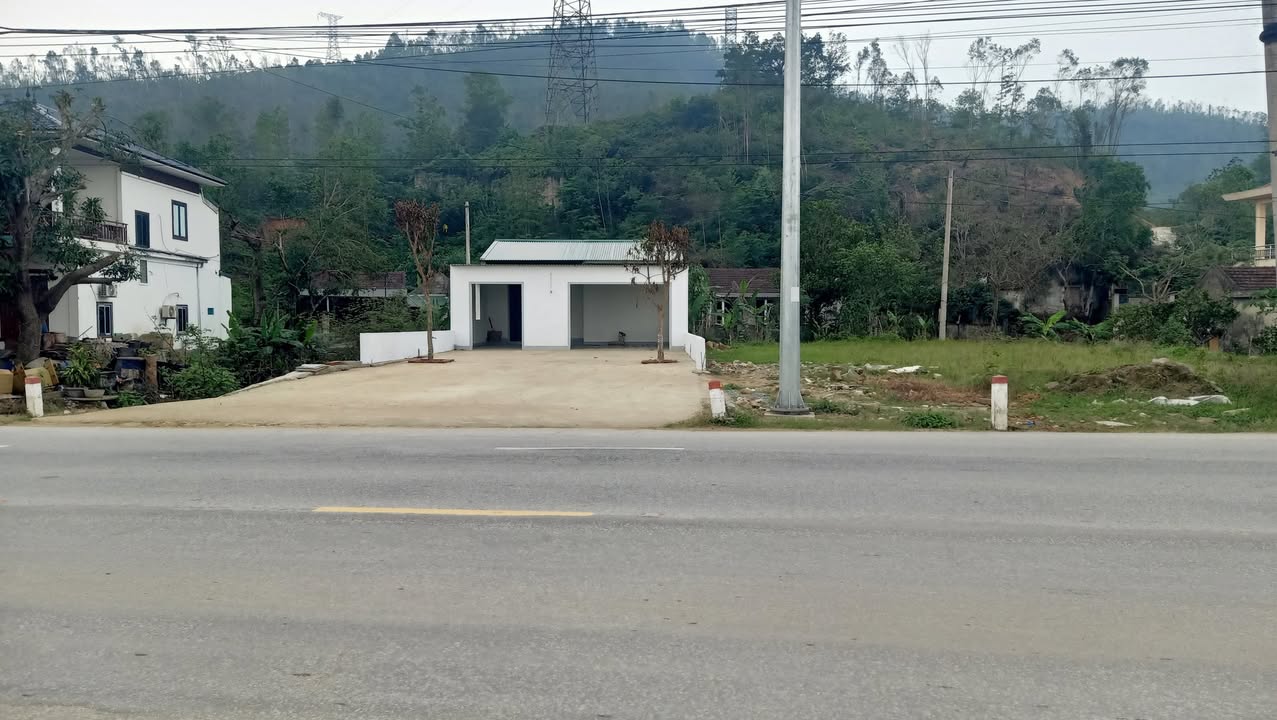 Đất chính chủ mặt đường Nguyễn Ái Quốc 160m² - Giá thương lượng hấp dẫn!