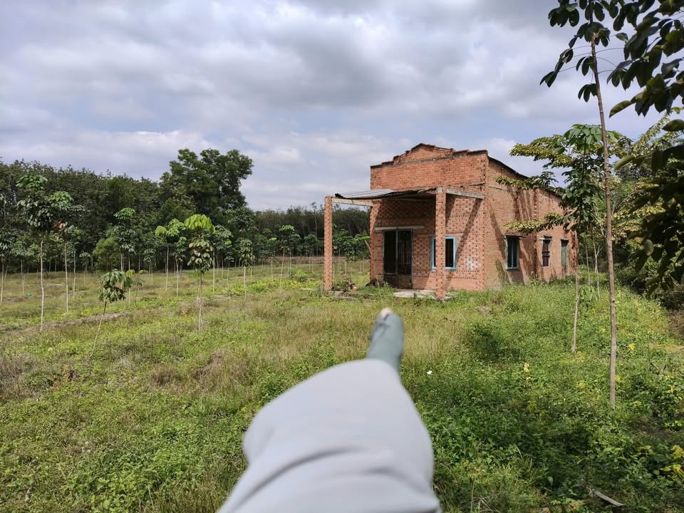 Đất thổ cư 7200m² tại Tân Quan, Hớn Quản - Chỉ 1.15 tỷ, có nhà cấp 4 tặng kèm!