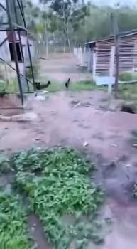 Đất nền Ấp 8, xã Lộc Hưng 1020m² giá 1.3 tỷ - Cơ hội đầu tư tuyệt vời!