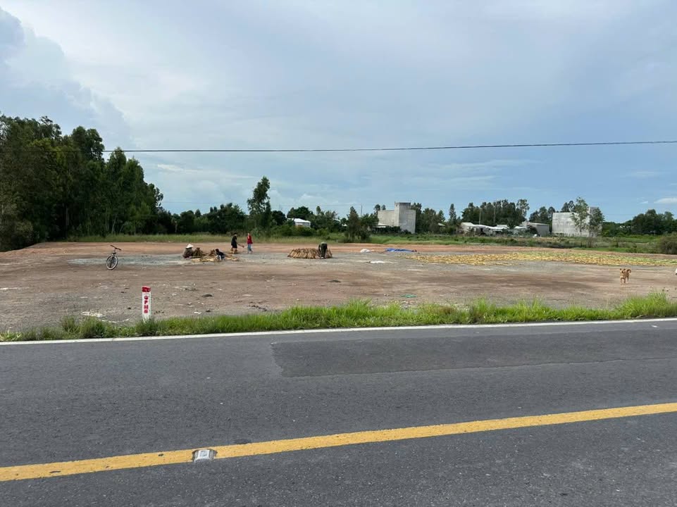 Đất nền mặt tiền Võ Văn Kiệt, Tháp Mười, 70.000m² giá 13 tỷ - Đầu tư sinh lời ngay!