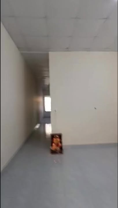 Nhà nguyên căn cho thuê đường Nam Hồ, Đà Lạt - 2 phòng ngủ, giá 6 triệu/tháng