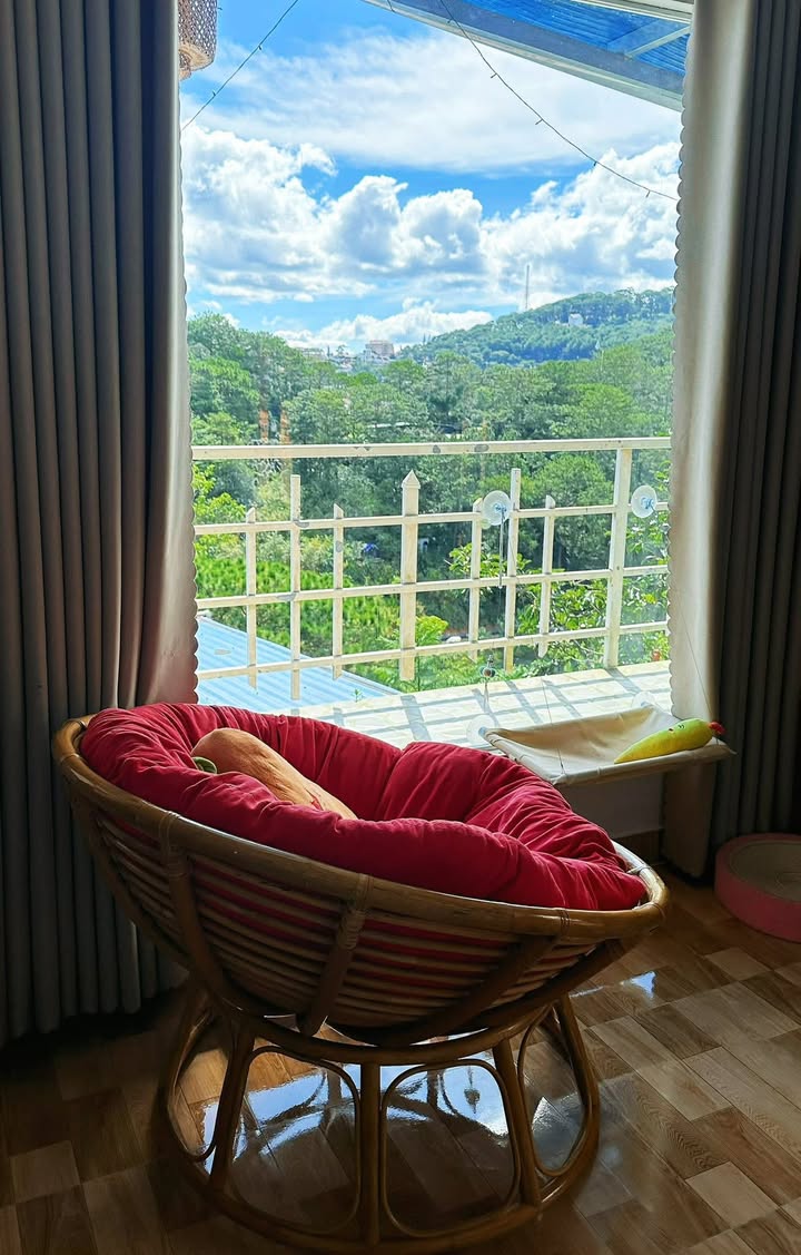 Căn hộ mini cho thuê tại Đà Lạt 1PN giá 5 triệu - Không gian yên tĩnh view rừng thông!