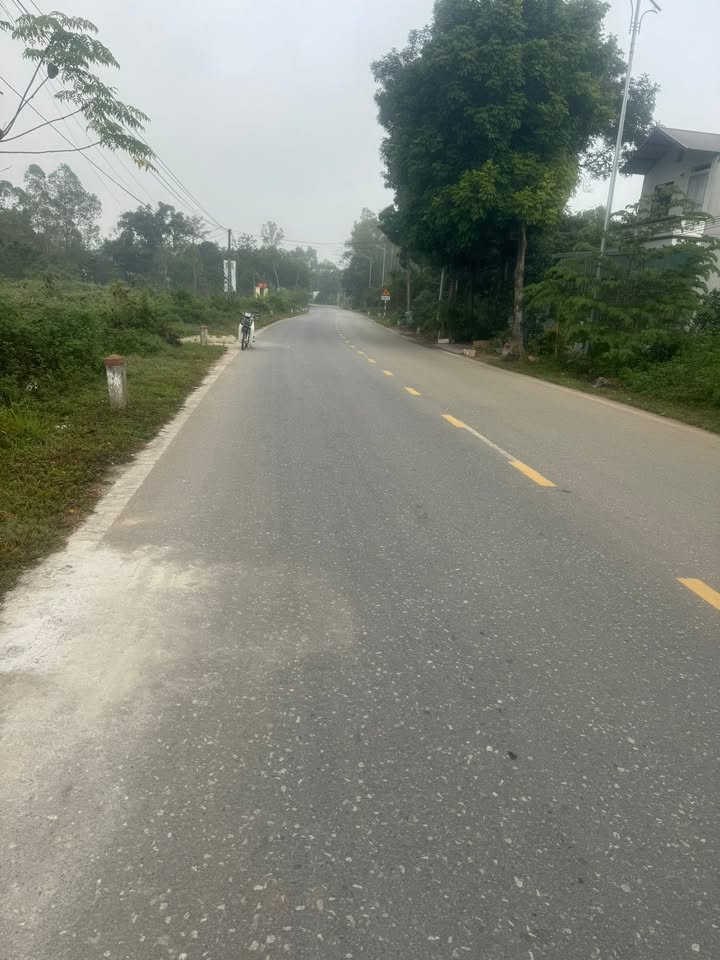 Đất nền Thanh Vinh, Phú Thọ 104m² - Giá đầu tư hấp dẫn!