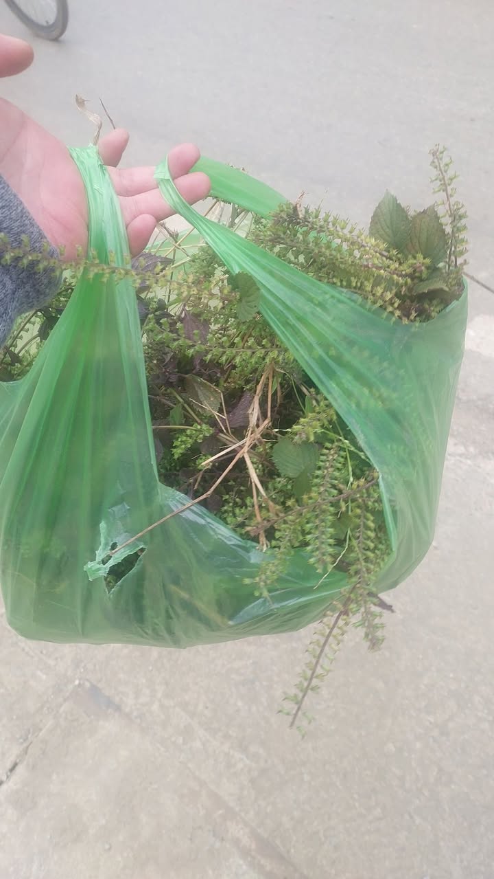 Phòng trọ cho thuê tại khu tập thể ngân hàng Sơn La - 2 phòng ngủ, giá thỏa thuận hấp dẫn!