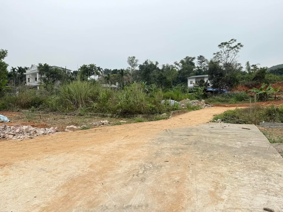 Đất thổ cư Ỷ La 110m² giá 1.2 tỷ - Đường bê tông rộng rãi, không ngập lụt!