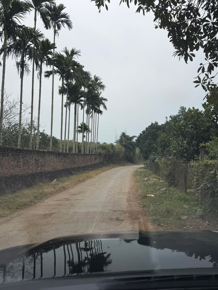 Đất nền Yên Mông, Hòa Bình 838m² giá 2.1 tỷ - Cơ hội đầu tư sinh lời!