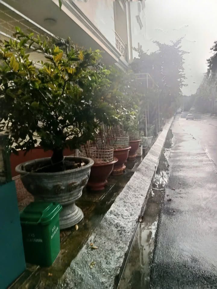 Townhouse An Phú Thủ Đức 80m² giá 15.2 tỷ - Thiết kế hiện đại 4 tầng!