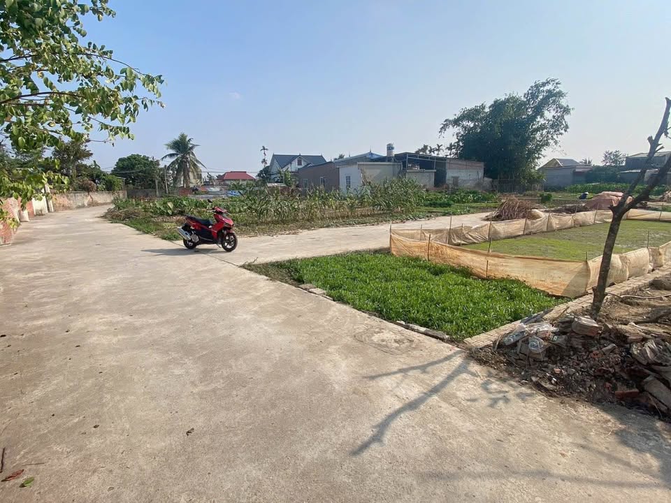 Đất nền An Quang, An Lão 65m² giá 600 triệu - Sổ đỏ chính chủ, đầu tư sinh lời!