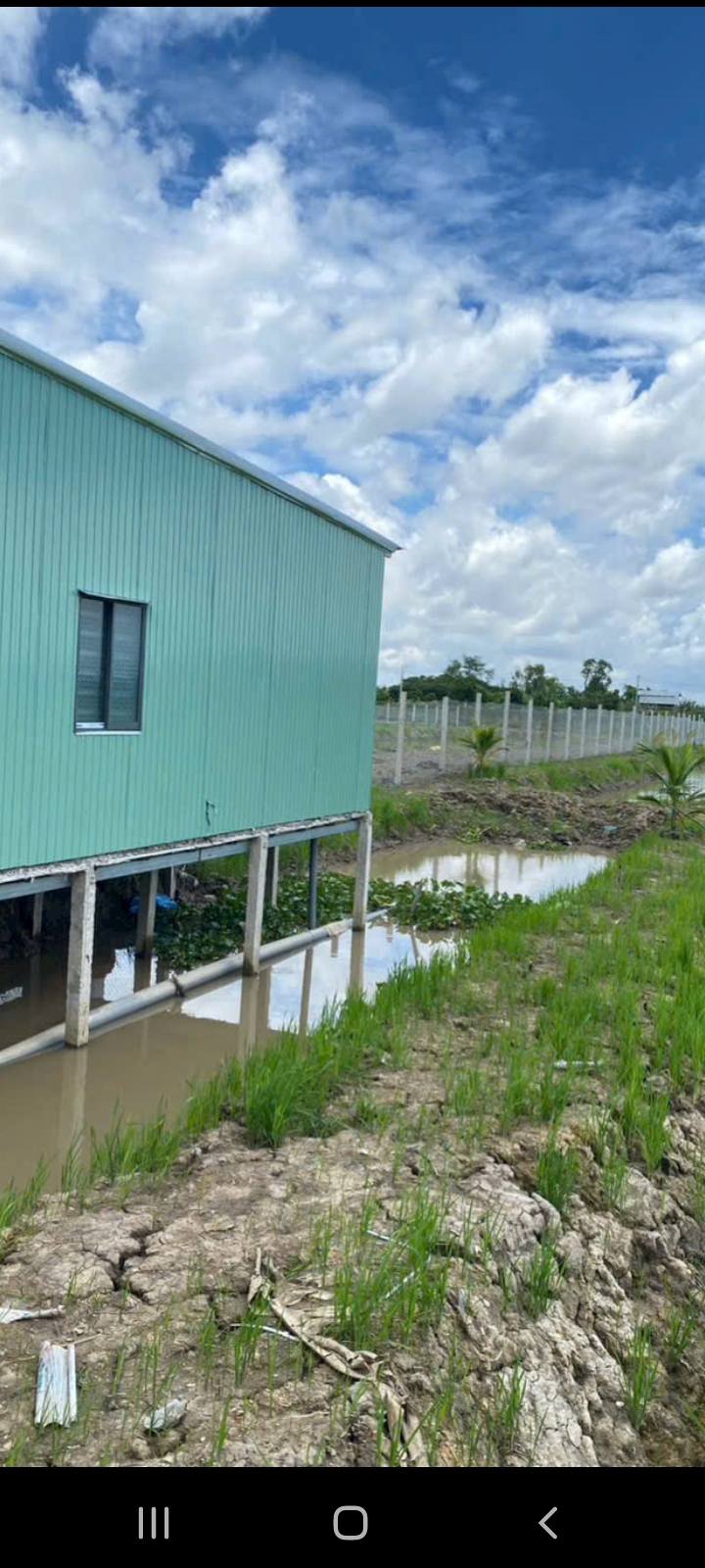 Đất lúa 1000m² xã Phú Hòa, An Giang - Giá tốt, phù hợp nghỉ dưỡng!