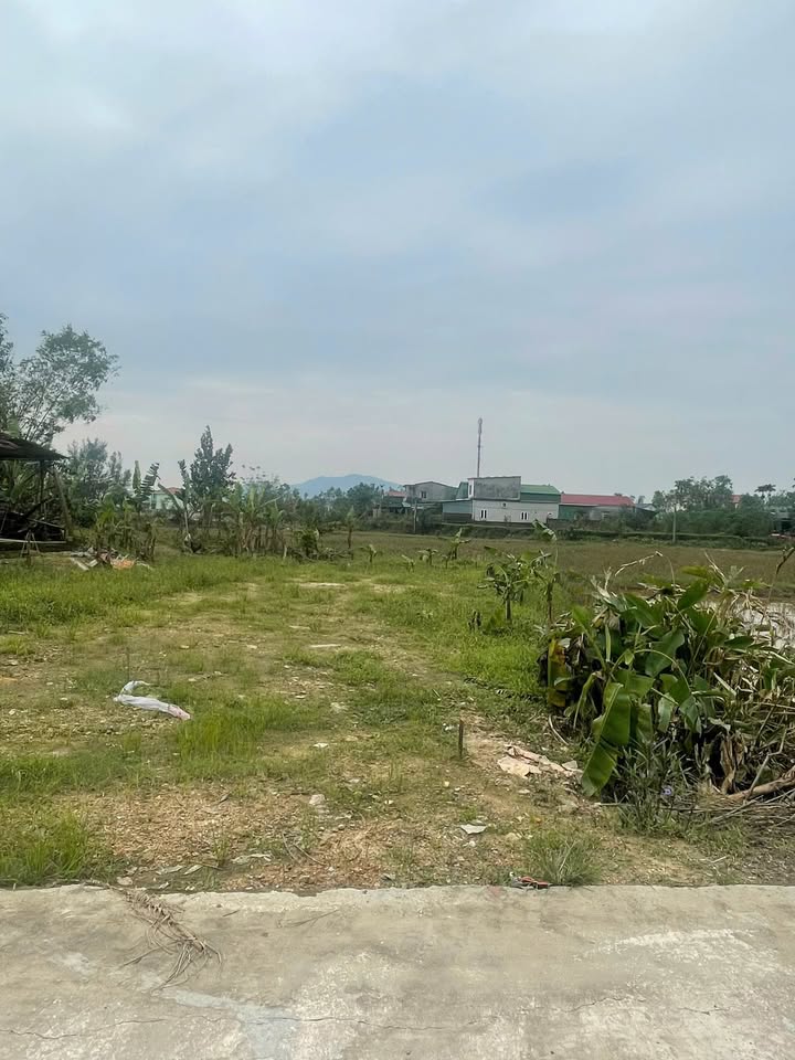 Đất thổ cư 128m² tại Thôn Bình Tiến, Thạch Hà - Đầu tư sinh lời ngay!