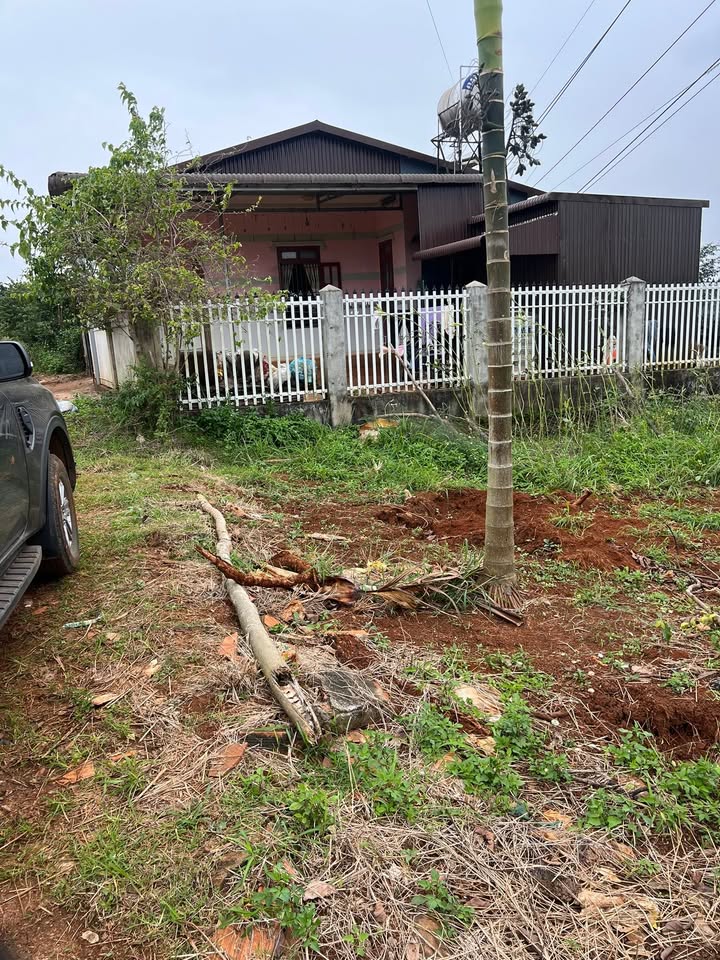 Đất nền 2,2 sào tại Đức Mạnh, Đắk Mil - Giá 1,4 tỷ, sổ đỏ chính chủ!