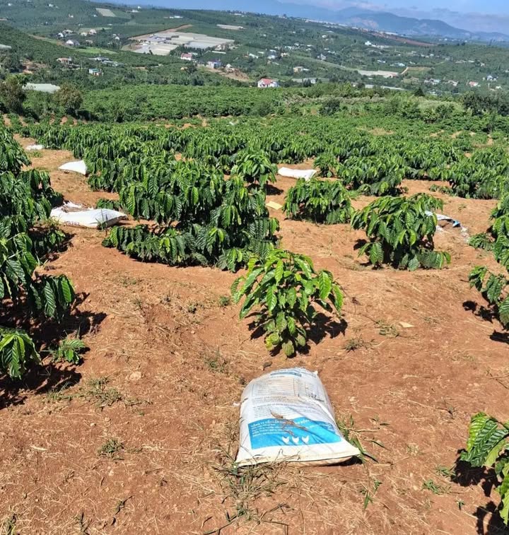 Đất nền Tân Hà Lâm Hà 10.000m² giá 5.3 tỷ - Cơ hội đầu tư vàng!