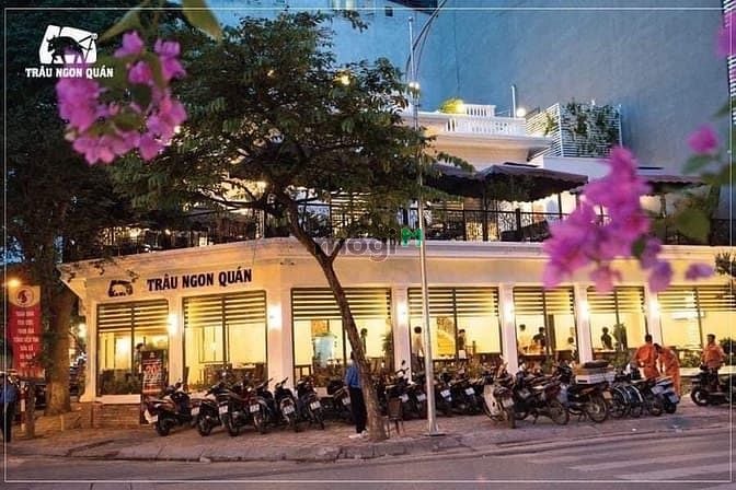 Biệt thự cho thuê mặt phố Hoàng Ngân 315m² giá 170 triệu - Thiết kế sân vườn đẹp