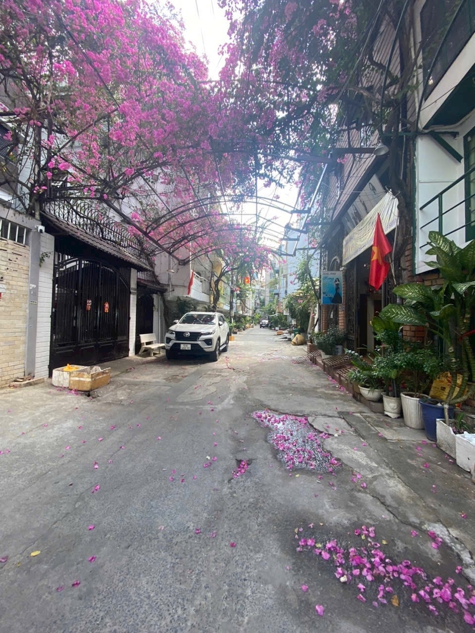 Bán nhà khu VIP đường Tân Cảng - D1, P25 Bình Thạnh 54.5m² giá 7.25 tỷ - Cơ hội đầu tư hiếm có!