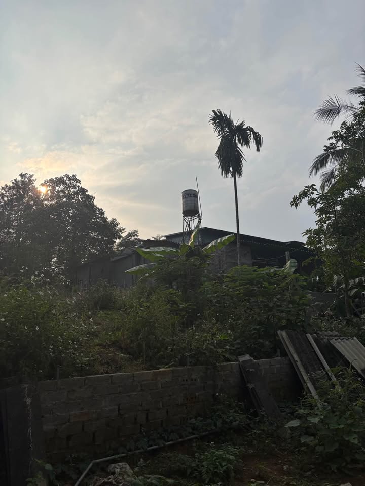 Đất Suối Hai - Ba Vì 887m² giá 30 tỷ - Cơ hội đầu tư nghỉ dưỡng tuyệt vời!