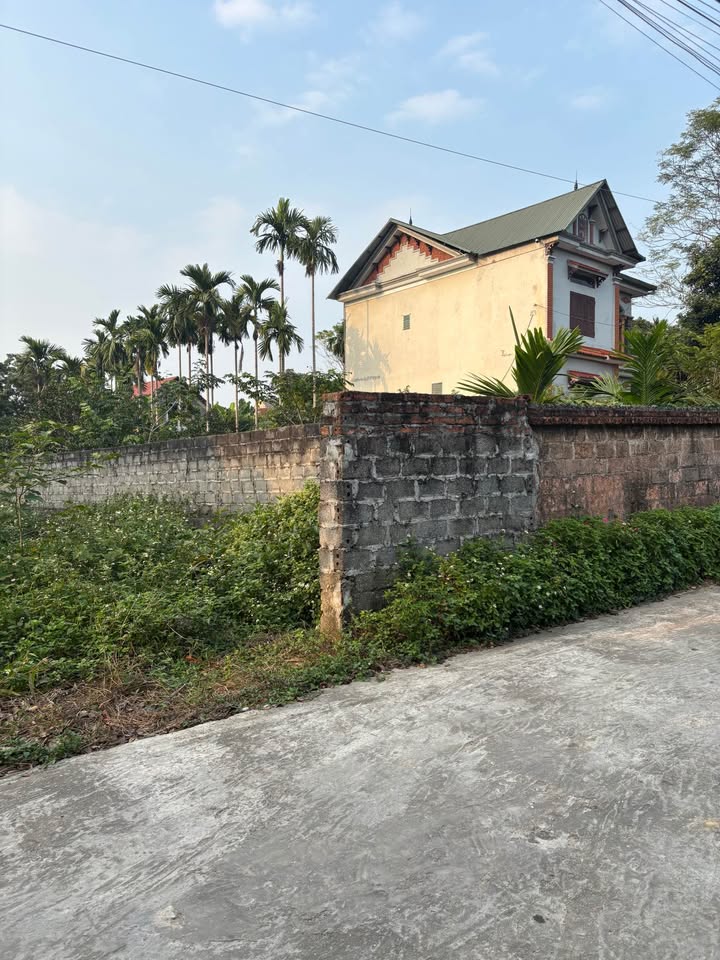 Lô đất thôn Hoàng Long, Gia Lâm 486m² giá 4 tỷ - Đường ô tô rộng rãi!