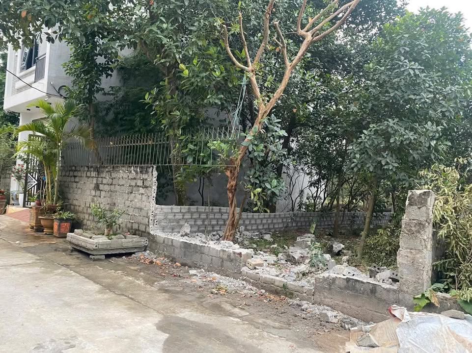 Đất Thổ Cư Ngọ, Chuyên Mỹ, Phú Xuyên 90m² giá 2.5 tỷ - Đầu tư sinh lời ngay!