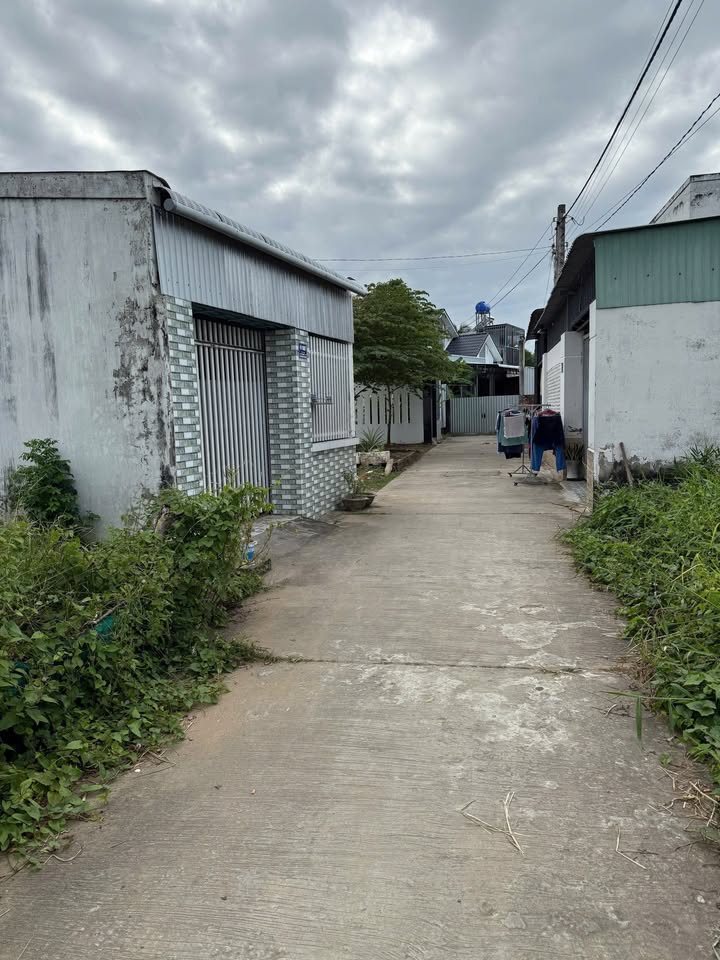 Đất nền Phú Khương Bến Tre 125.5m² giá 1.255 tỷ - Sổ đỏ chính chủ, thương lượng ngay!