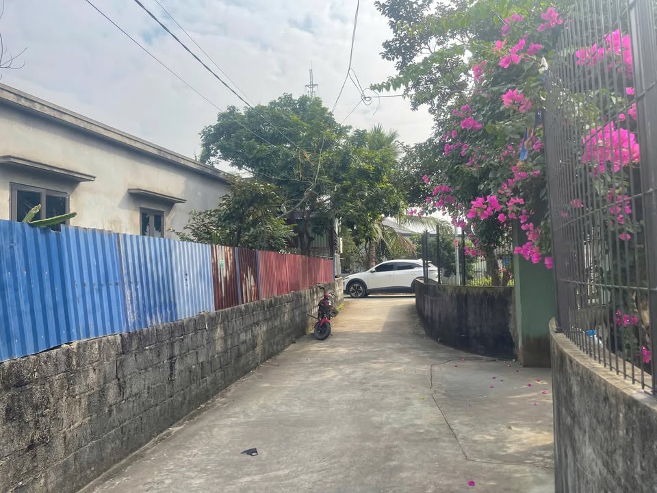 Đất nền An Trường, Hải Phòng 75m² giá 700 triệu - Cắt lỗ nhanh chóng!